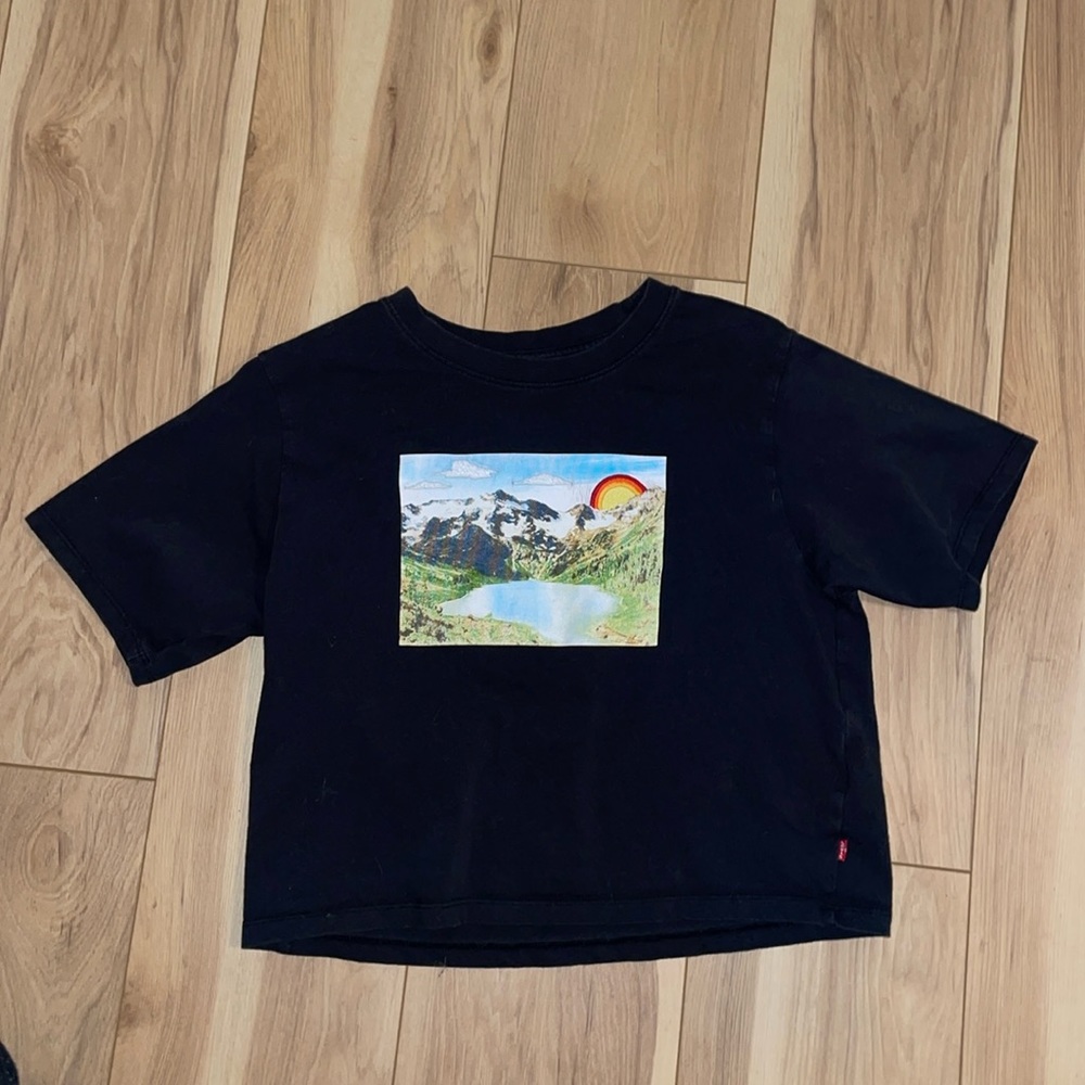 Levi’s cropped landscape embroidered T-shirt oversized XS